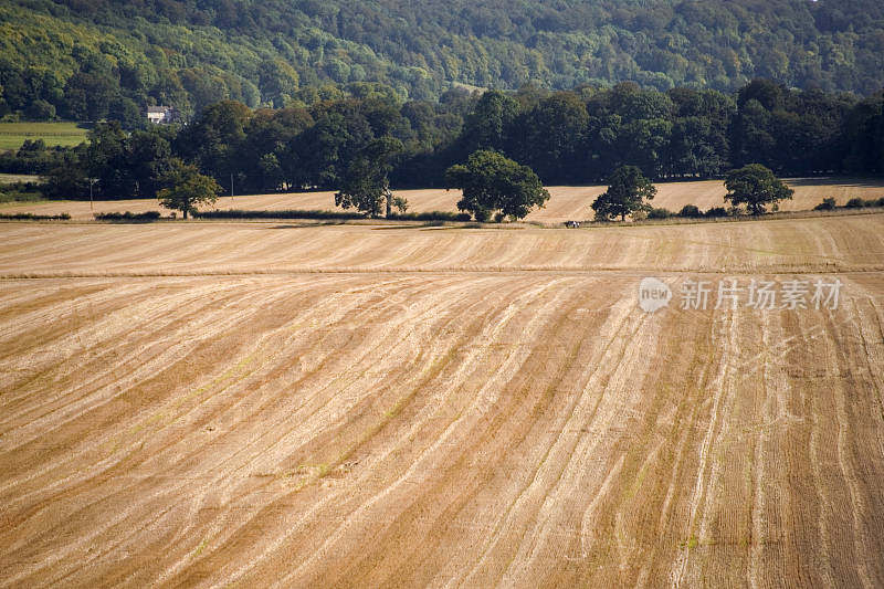 从Ridgeway Path Chilterns Chiltern Hills农田农田英国白金汉郡家庭郡